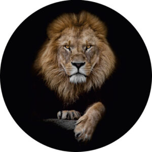 Imagem do produto Capa De Estepe Ecosport Aircross Leão 1